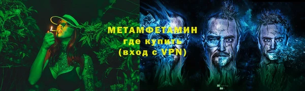 индика Гусь-Хрустальный