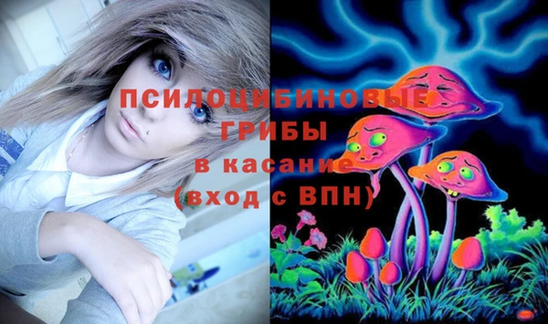 соль ск Новозыбков