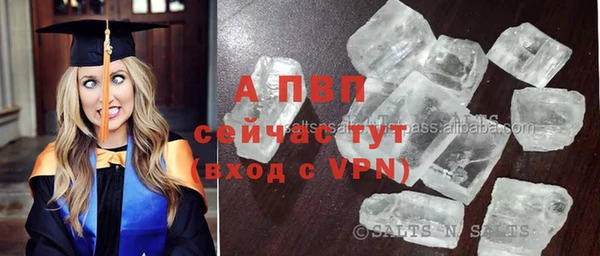соль курить ск Новодвинск