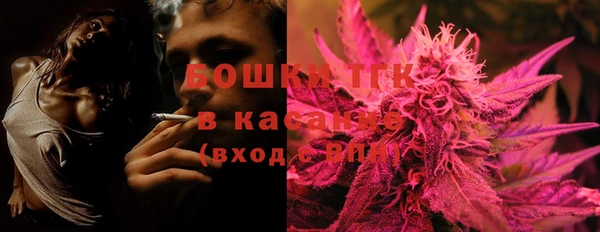 соль ск Новозыбков